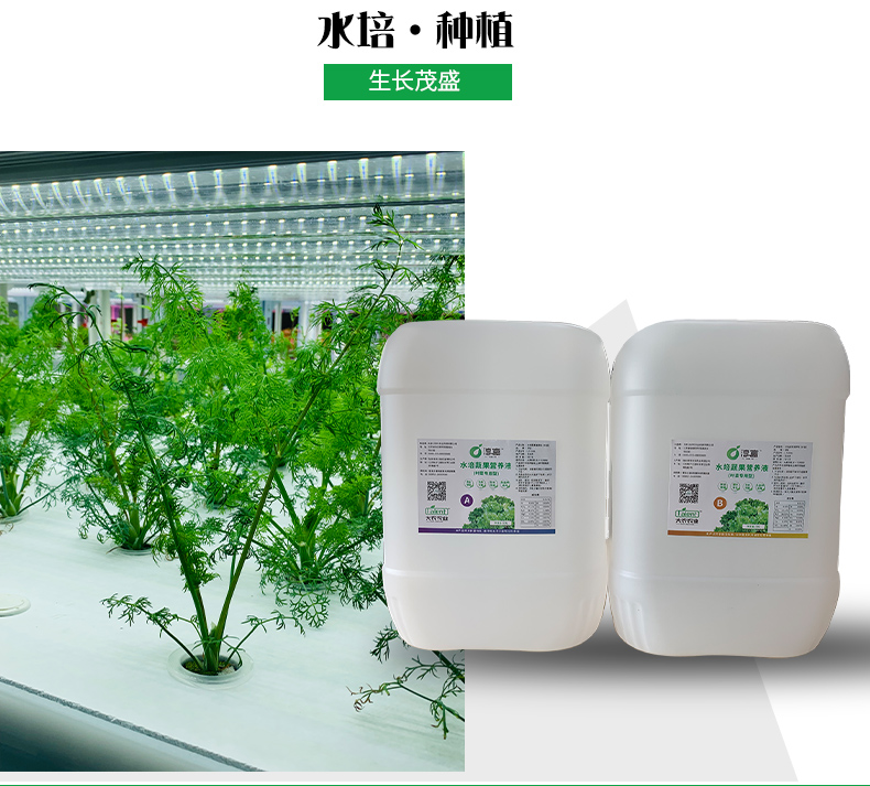 蜜桃成品人视频免费入口