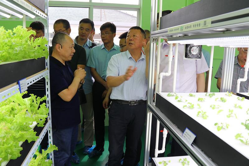 蜜桃成品人视频免费入口