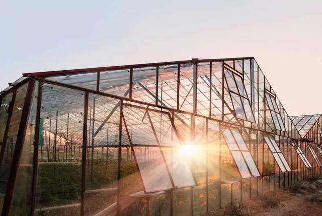 蜜桃成品人视频免费入口