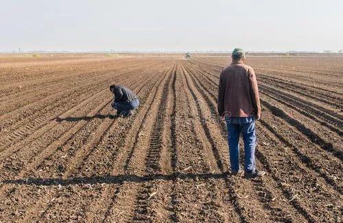 蜜桃成品人视频免费入口