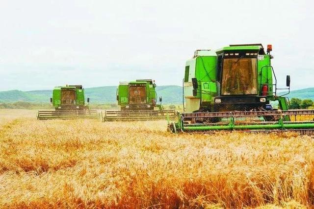 蜜桃成品人视频免费入口