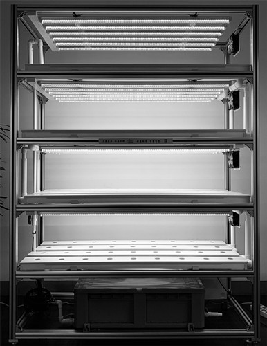 蜜桃成品人视频免费入口