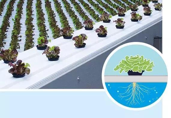 蜜桃成品人视频免费入口