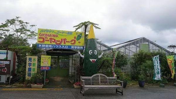 蜜桃成品人视频免费入口