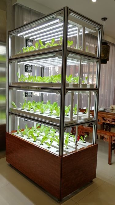 蜜桃成品人视频免费入口