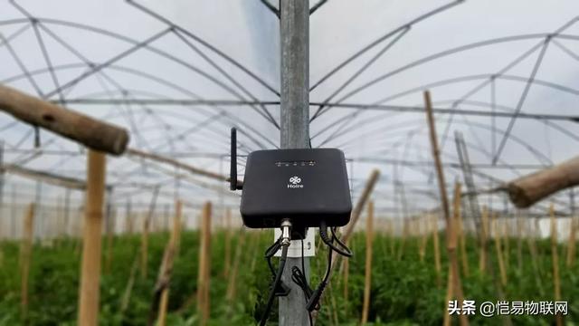 蜜桃成品人视频免费入口