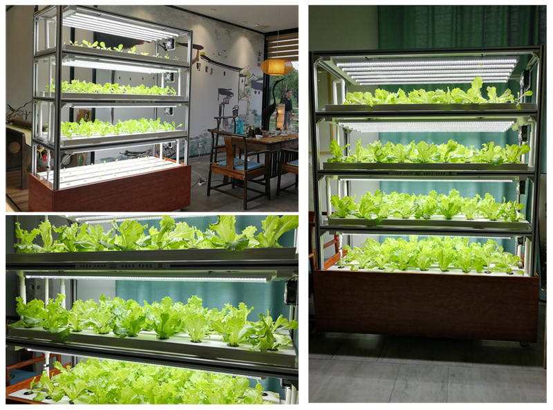 蜜桃成品人视频免费入口