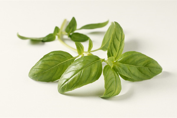 蜜桃成品人视频免费入口