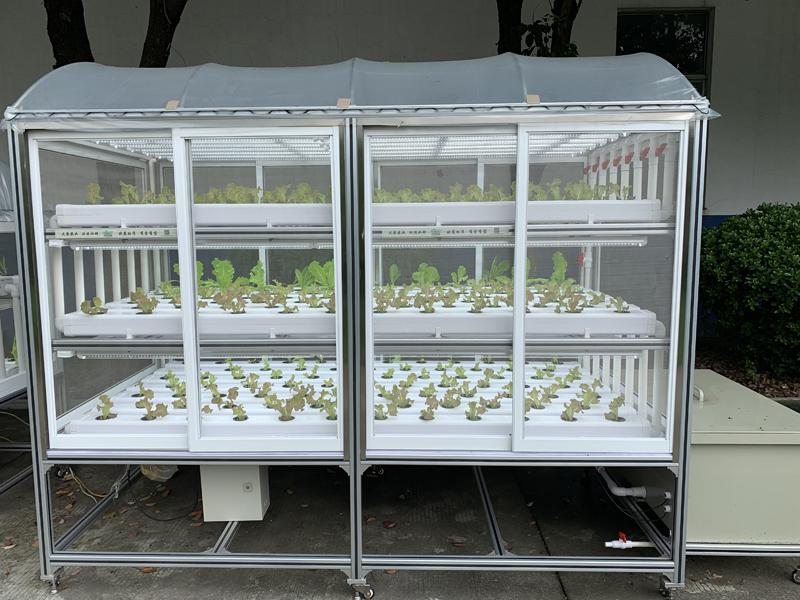 蜜桃成品人视频免费入口