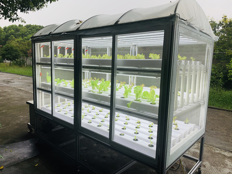 蜜桃成品人视频免费入口