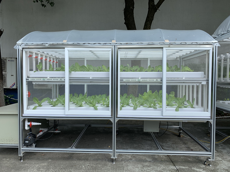 蜜桃成品人视频免费入口