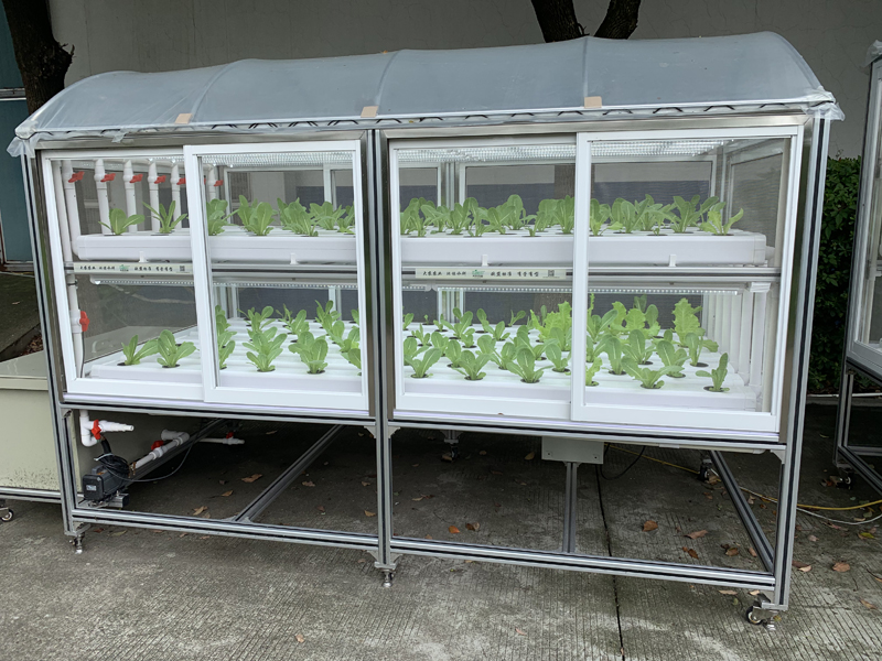 蜜桃成品人视频免费入口