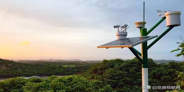 蜜桃成品人视频免费入口