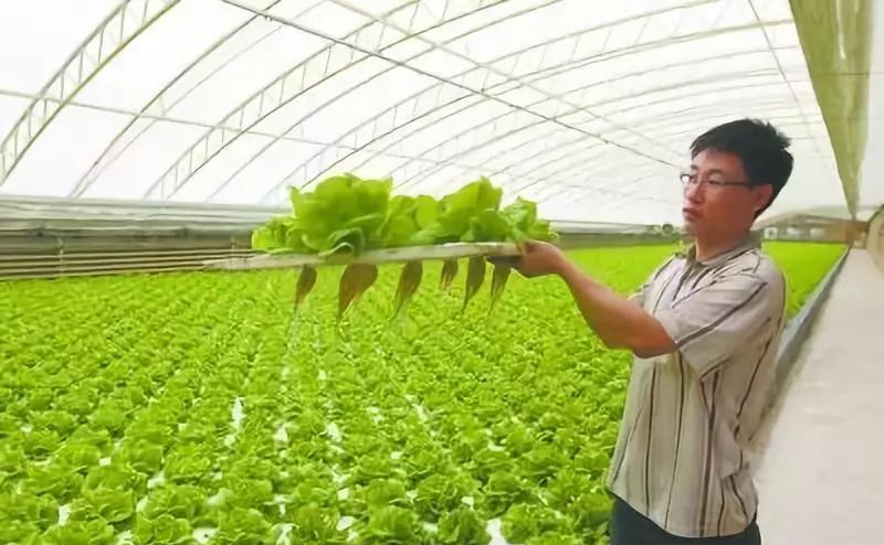 蜜桃成品人视频免费入口