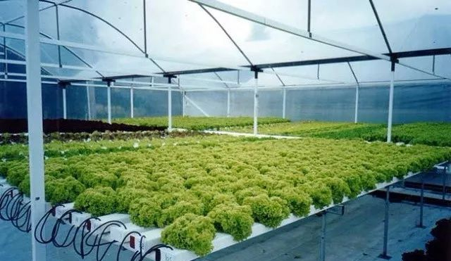 蜜桃成品人视频免费入口