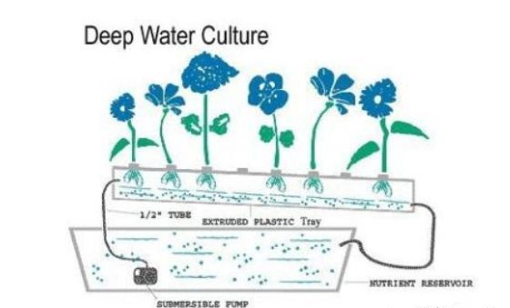 蜜桃成品人视频免费入口