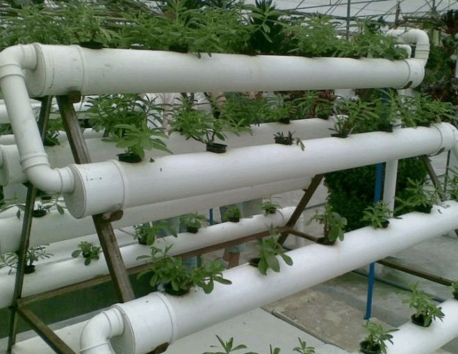 蜜桃成品人视频免费入口