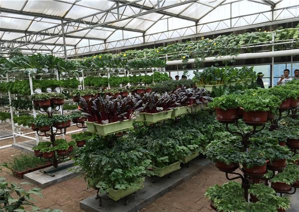 蜜桃成品人视频免费入口