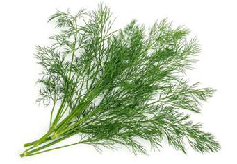 蜜桃成品人视频免费入口