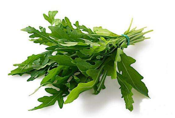 蜜桃成品人视频免费入口