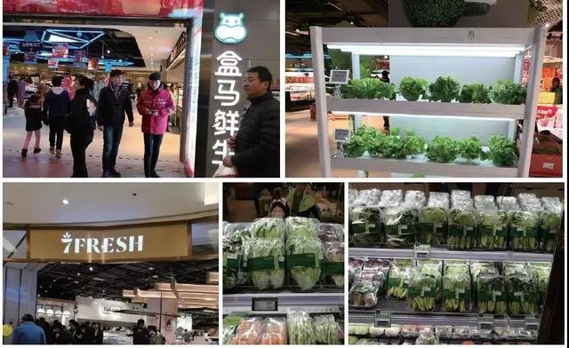 蜜桃成品人视频免费入口