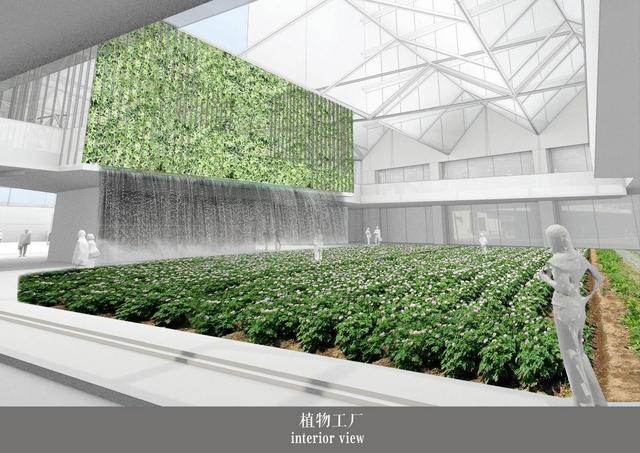 蜜桃成品人视频免费入口