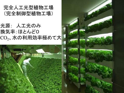 蜜桃成品人视频免费入口