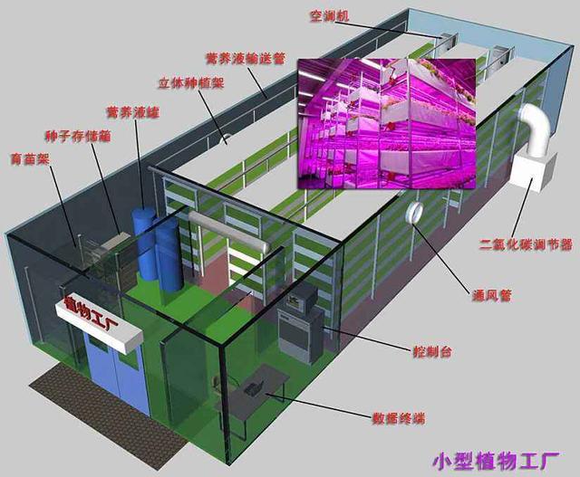 蜜桃成品人视频免费入口