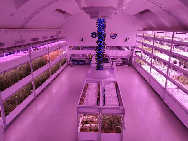 蜜桃成品人视频免费入口