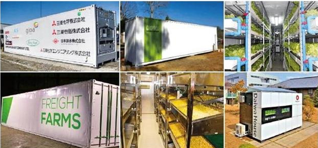 蜜桃成品人视频免费入口