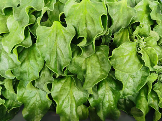 蜜桃成品人视频免费入口