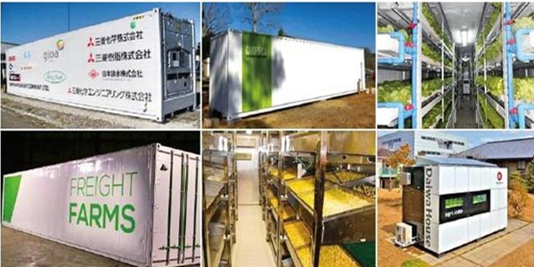 蜜桃成品人视频免费入口