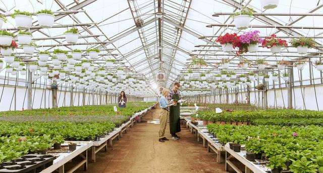 蜜桃成品人视频免费入口