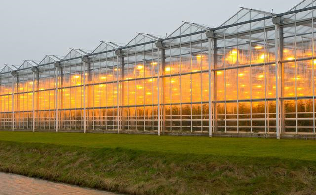 蜜桃成品人视频免费入口