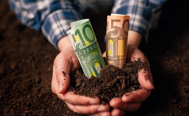 蜜桃成品人视频免费入口