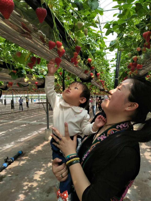 蜜桃成品人视频免费入口