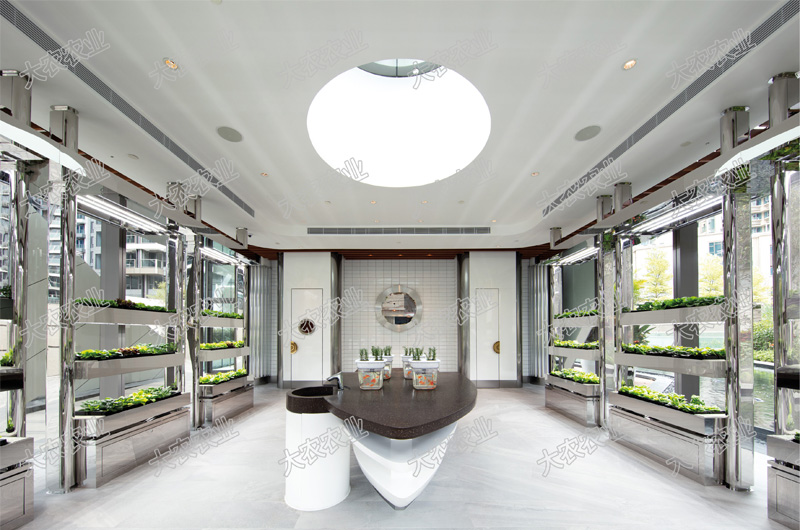 蜜桃成品人视频免费入口