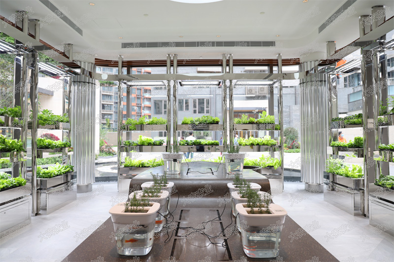 蜜桃成品人视频免费入口