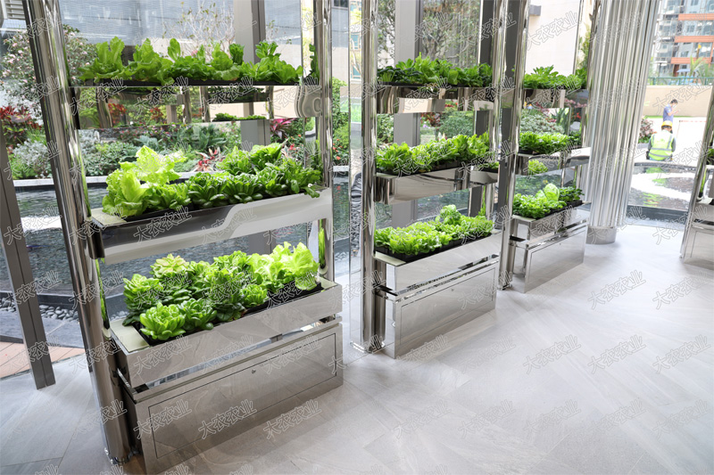 蜜桃成品人视频免费入口