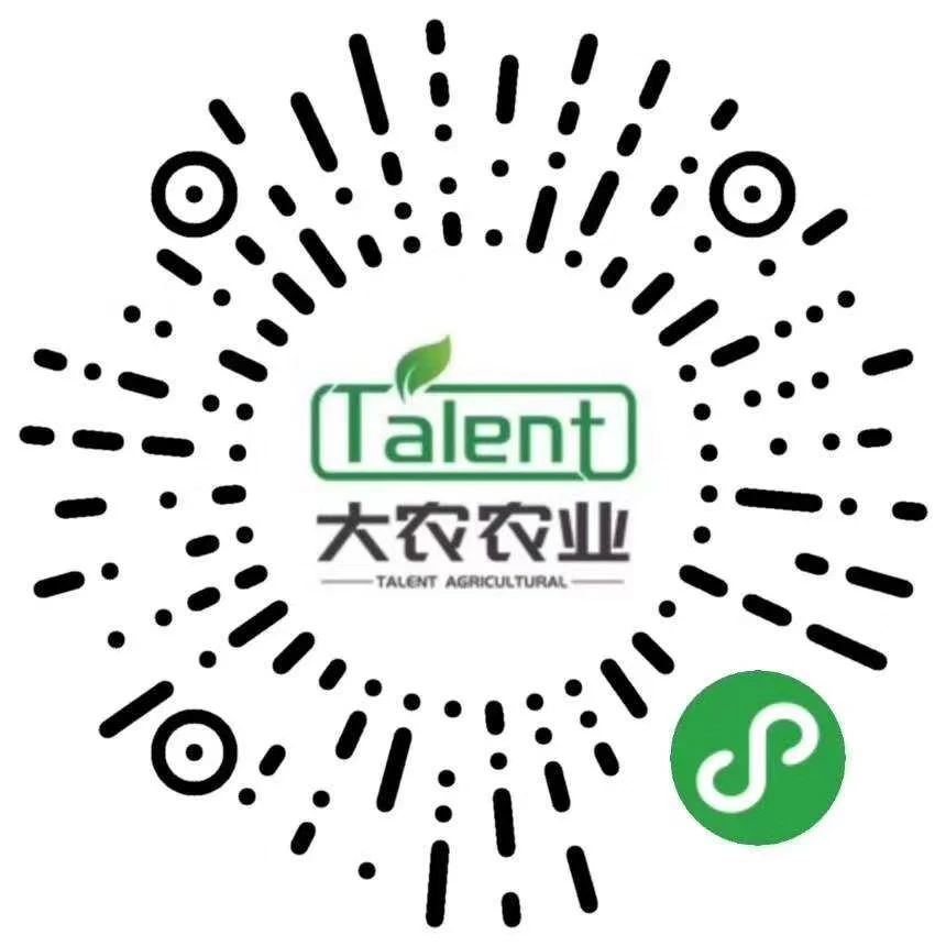 蜜桃成品人视频免费入口