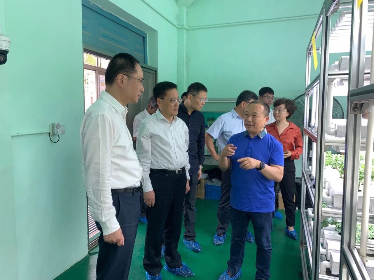 蜜桃成品人视频免费入口