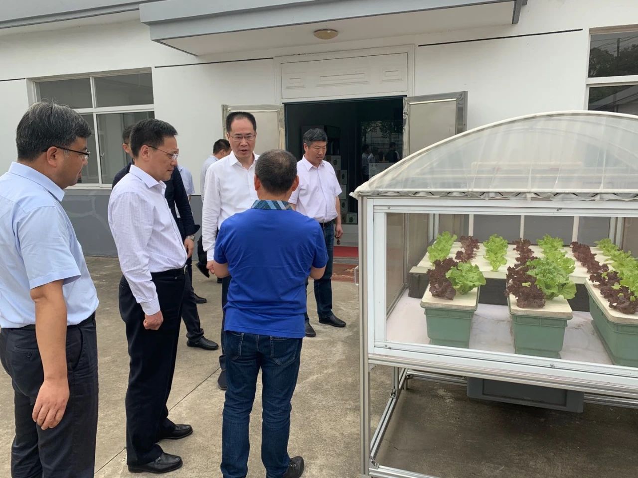 蜜桃成品人视频免费入口