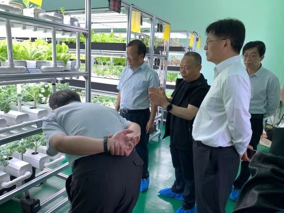 蜜桃成品人视频免费入口