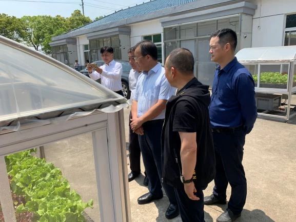 蜜桃成品人视频免费入口