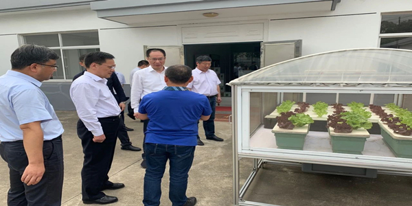 蜜桃成品人视频免费入口