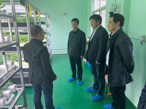 蜜桃成品人视频免费入口