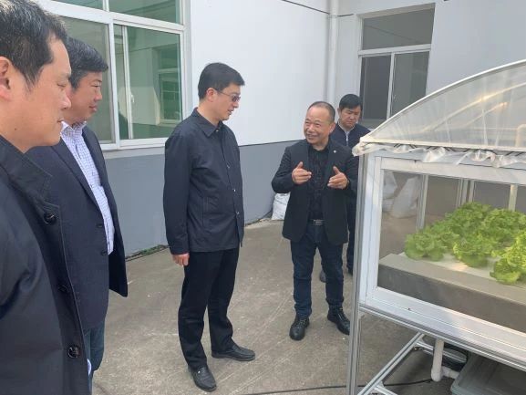 蜜桃成品人视频免费入口