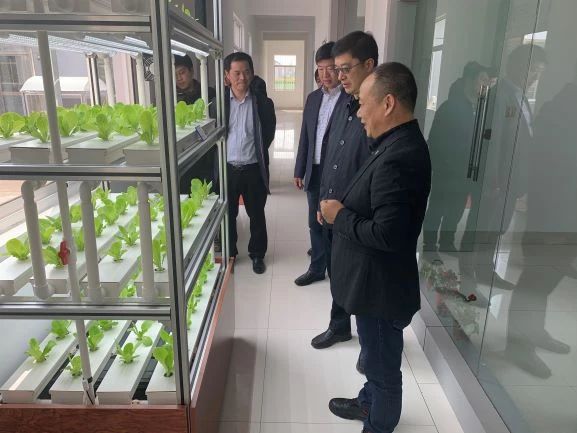 蜜桃成品人视频免费入口