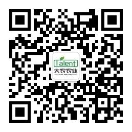 蜜桃成品人视频免费入口