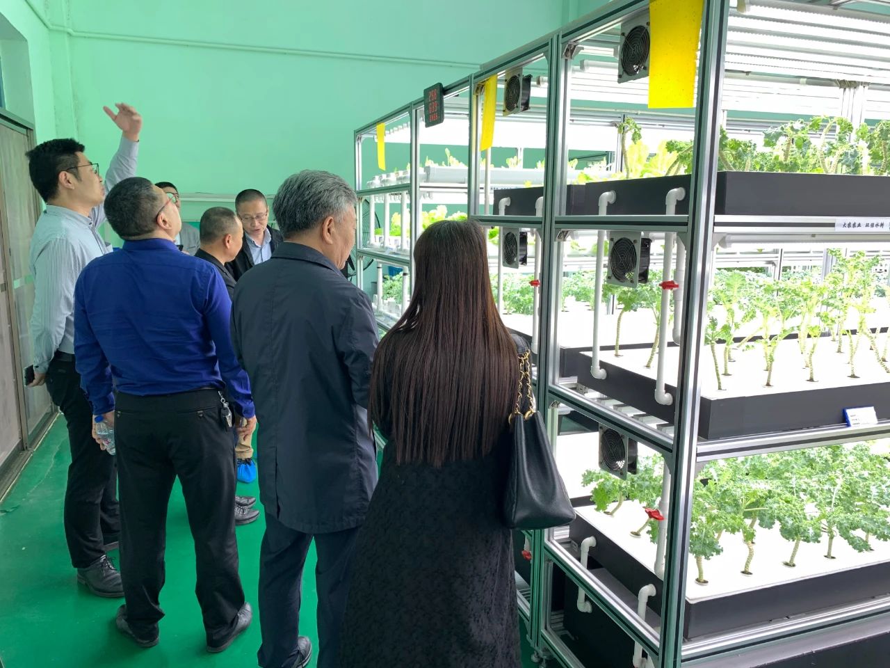 蜜桃成品人视频免费入口